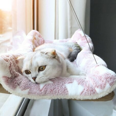 Cat window hammock