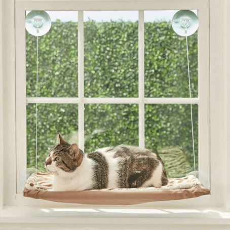 Cat window hammock