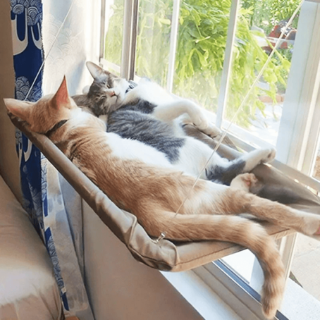 Cat window hammock