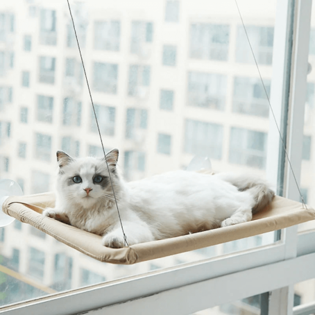 Cat window hammock